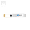 100 g de fibra óptica SFP en el interruptor