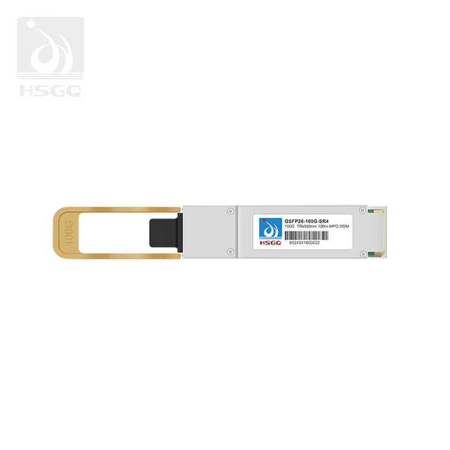 100 g de fibra óptica SFP en el interruptor