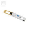 100 g de fibra óptica SFP en el interruptor