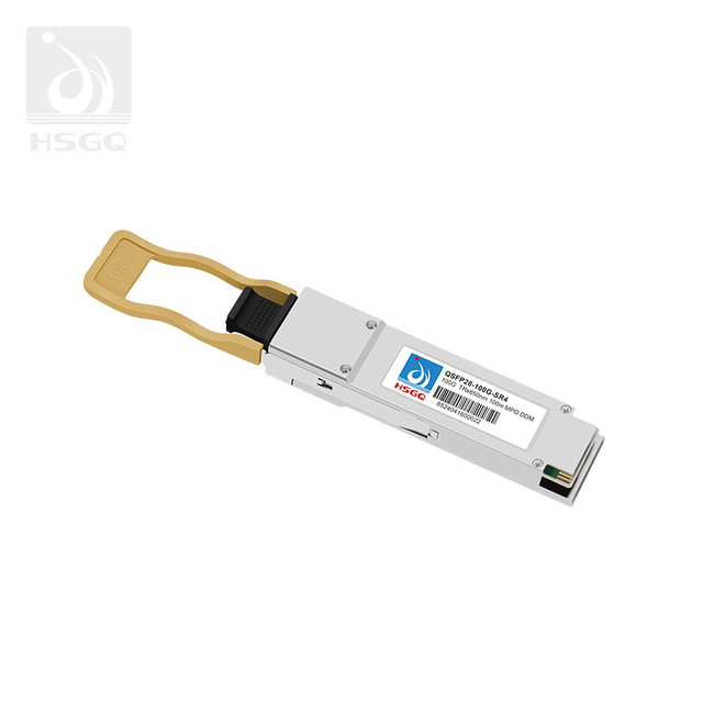 100 g de fibra óptica SFP en el interruptor